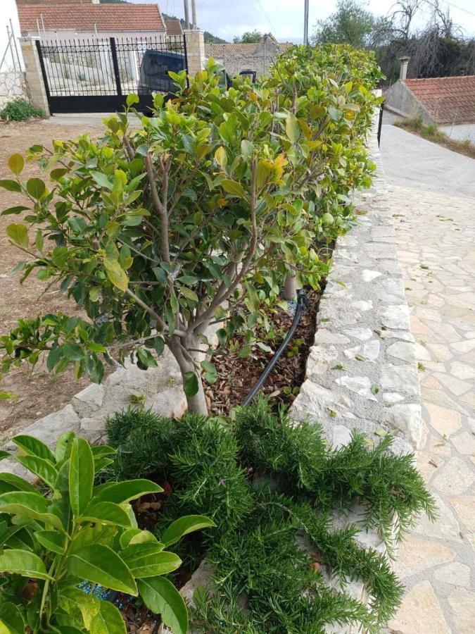 Villa Clio Mánganos 외부 사진